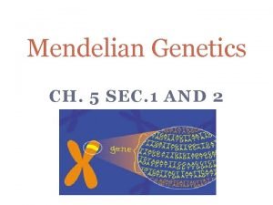 Mendelian genetics concept map