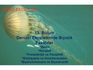 DENZ EKOLOJS 13 Blm Denizel Ekosistemde Biyotik Faktrler