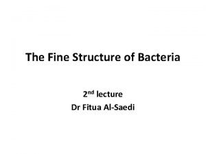 Fine structure of bacteria