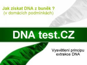 Jak zskat DNA z bunk v domcch podmnkch