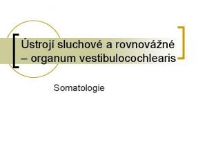stroj sluchov a rovnovn organum vestibulocochlearis Somatologie stroj