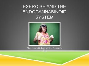 EXERCISE AND THE ENDOCANNABINOID SYSTEM The Neurobiology of