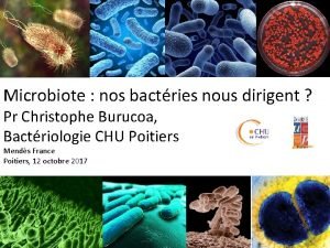 Microbiote nos bactries nous dirigent Pr Christophe Burucoa