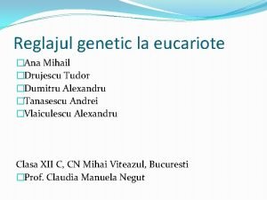 Reglajul genetic la eucariote