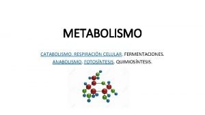 Que es el metabolismo