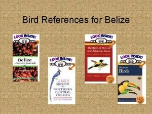 Bird References for Belize Birds in Belize An