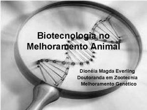 Biotecnologia no Melhoramento Animal Dionia Magda Everling Doutoranda