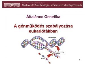 ltalnos Genetika A gnmkds szablyozsa eukaritkban 1 Dolly