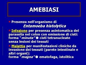 AMEBIASI Presenza nellorganismo di Entamoeba histolytica Infezione per