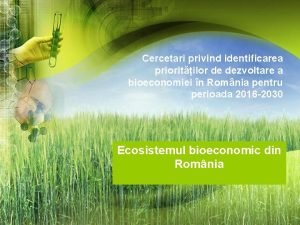 Cercetari privind identificarea prioritilor de dezvoltare a bioeconomiei