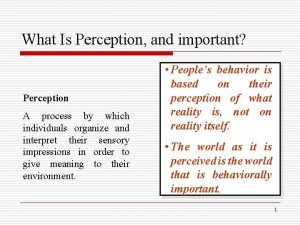 Perception vs perspective