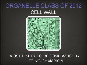 ORGANELLE CLASS OF 2012 CELL WALL MOST LIKELY