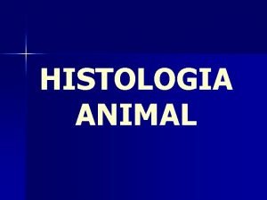 HISTOLOGIA ANIMAL HISTOLOGIA O RAMO DA BIOLOGIA QUE