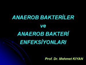 ANAEROB BAKTERLER ve ANAEROB BAKTER ENFEKSYONLARI Prof Dr
