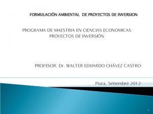 FORMULACIN AMBIENTAL DE PROYECTOS DE INVERSION PROGRAMA DE