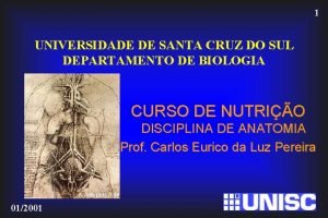 1 UNIVERSIDADE DE SANTA CRUZ DO SUL DEPARTAMENTO