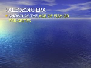Paleozoic era is known as the age of