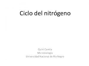 Ciclo del nitrgeno Quin Camila Microbiologa Universidad Nacional