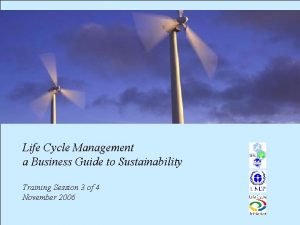 Life cycle management a business guide to sustainability
