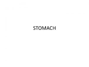 Stomach blood supply