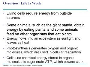 Total atp produced in cellular respiration