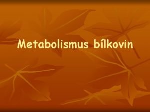 Metabolismus blkovin Metabolismus blkovin obsah n n n