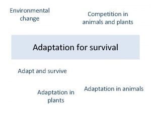 Environmental change Competition in animals and plants Adaptation