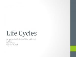 Bill nye life cycles
