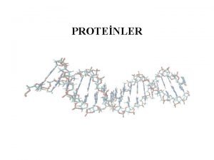 PROTENLER Proteinler btn canl varlklarn en nemli ve