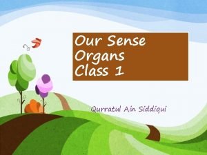 Sense organs for class 1