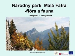 Nrodn park Mal Fatra flra a fauna Geografia