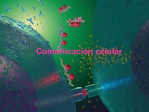 Ejemplo de comunicacion endocrina Ejemplo de comunicacion endocrina