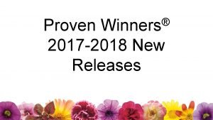 Golden butterfly awards 2018 winners