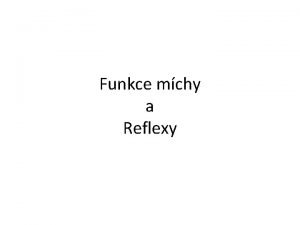 Funkce mchy a Reflexy Funkce pten mchy fylogeneticky