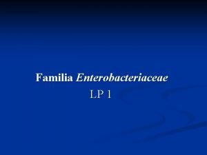 Familia Enterobacteriaceae LP 1 Familia Enterobacteriaceae Manualul de