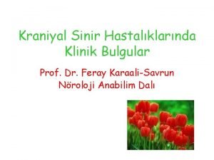 Kraniyal Sinir Hastalklarnda Klinik Bulgular Prof Dr Feray