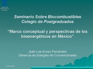 Seminario Sobre Biocombustibles Colegio de Postgraduados Marco conceptual