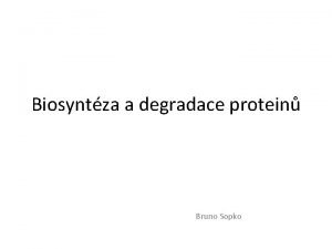 Biosyntza a degradace protein Bruno Sopko Obsah Proteosyntza