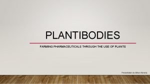 Plantibodies