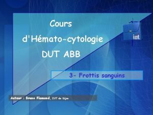 Cours dHmatocytologie DUT ABB 3 Frottis sanguins Auteur