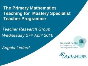 Primary mathematics specialist teacher programme