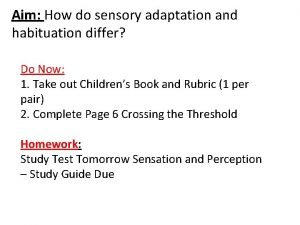 Sensory adaptations