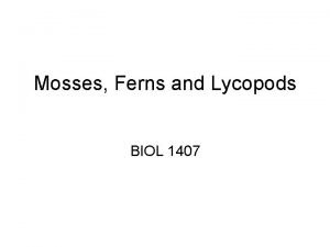 Mosses Ferns and Lycopods BIOL 1407 NonVascular Plants