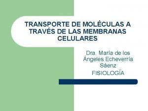 Transporte mediado por acarreadores