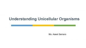 Understanding Unicellular Organisms Ms Aseel Samaro They both
