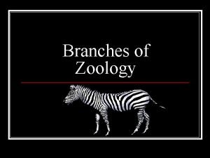 Branches of zoology