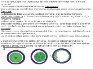 Plodove ovojnice