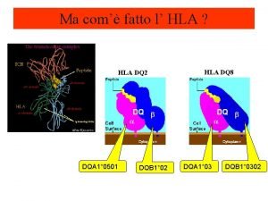 Gabriele cilia pensare male