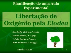 Planificao de uma Aula Experimental Libertao de Oxignio