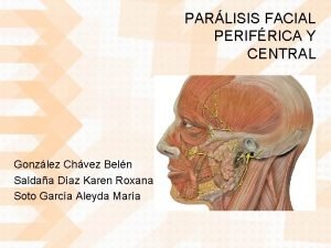 PARLISIS FACIAL PERIFRICA Y CENTRAL Gonzlez Chvez Beln